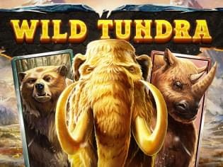 Wild Tundra thumbnail