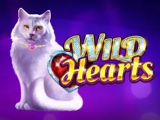 Wild Hearts thumbnail